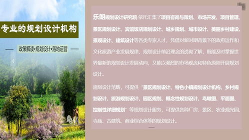 龍泉旅游景區(qū)規(guī)劃設計公司的服務內容與費用解析