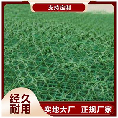 德州、青島、日照及山東三維土工網墊的應用與優勢